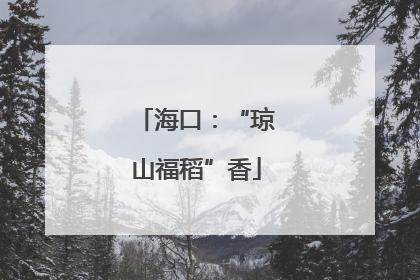 海口：“琼山福稻”香