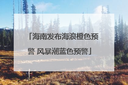 海南发布海浪橙色预警 风暴潮蓝色预警