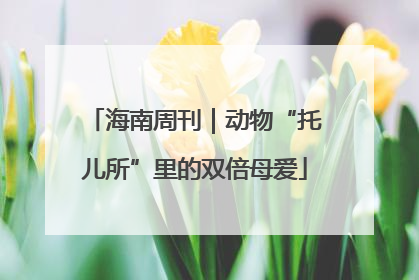 海南周刊｜动物“托儿所”里的双倍母爱