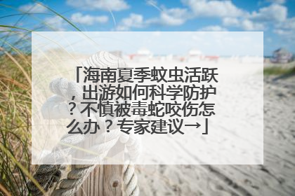 海南夏季蚊虫活跃，出游如何科学防护？不慎被毒蛇咬伤怎么办？专家建议→