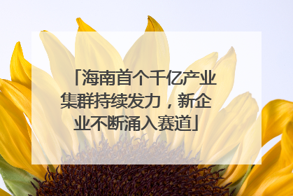 海南首个千亿产业集群持续发力，新企业不断涌入赛道
