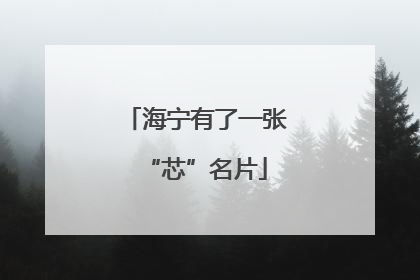 海宁有了一张“芯”名片
