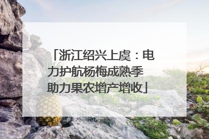 浙江绍兴上虞：电力护航杨梅成熟季 助力果农增产增收