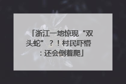 浙江一地惊现“双头蛇”？！村民吓懵：还会倒着爬