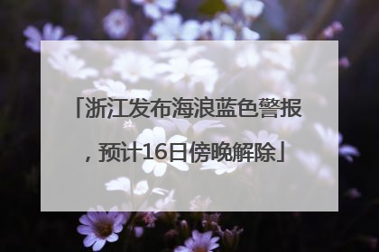 浙江发布海浪蓝色警报，预计16日傍晚解除