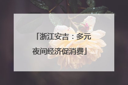 浙江安吉：多元夜间经济促消费