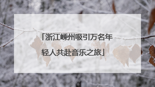 浙江嵊州吸引万名年轻人共赴音乐之旅