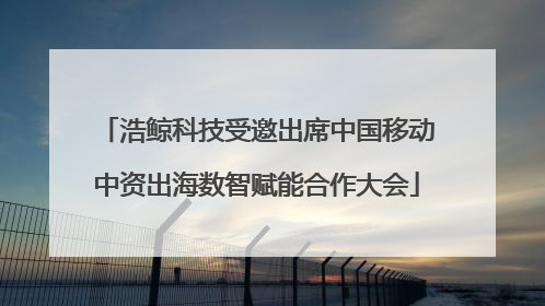 浩鲸科技受邀出席中国移动中资出海数智赋能合作大会