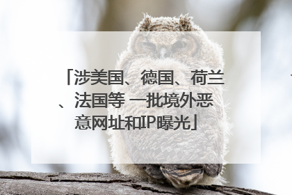 涉美国、德国、荷兰、法国等 一批境外恶意网址和IP曝光
