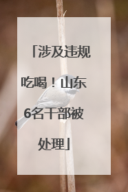 涉及违规吃喝！山东6名干部被处理