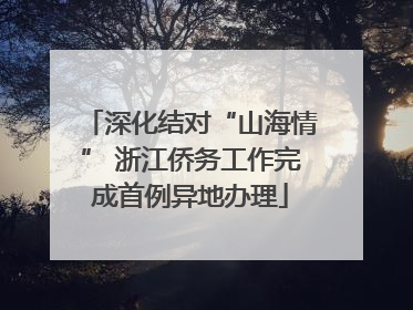 深化结对“山海情” 浙江侨务工作完成首例异地办理