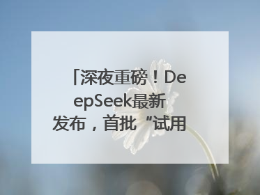 深夜重磅！DeepSeek最新发布，首批“试用体验”出炉→