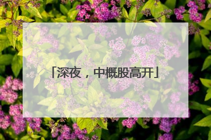 深夜，中概股高开