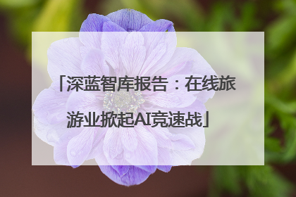 深蓝智库报告：在线旅游业掀起AI竞速战