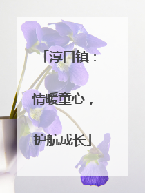 淳口镇：情暖童心，护航成长