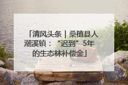 清风头条｜桑植县人潮溪镇：“迟到”5年的生态林补偿金