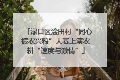 渌口区淦田村“同心振农兴粮”大赛上演农耕“速度与激情”