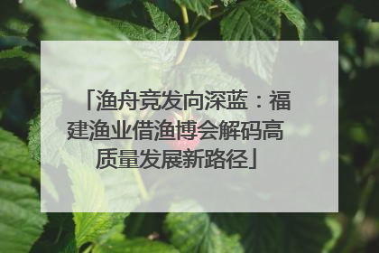 渔舟竞发向深蓝：福建渔业借渔博会解码高质量发展新路径