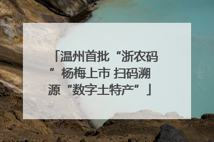 温州首批“浙农码”杨梅上市 扫码溯源“数字土特产”