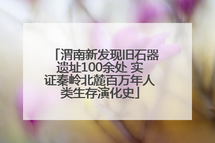 渭南新发现旧石器遗址100余处 实证秦岭北麓百万年人类生存演化史