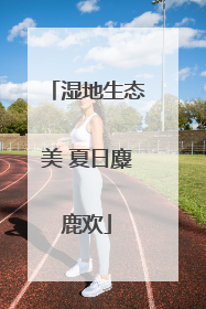 湿地生态美 夏日麋鹿欢