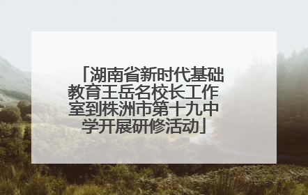 湖南省新时代基础教育王岳名校长工作室到株洲市第十九中学开展研修活动