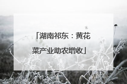 湖南祁东：黄花菜产业助农增收