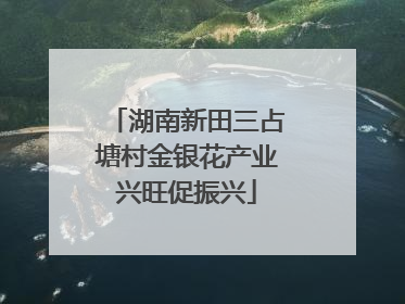 湖南新田三占塘村金银花产业兴旺促振兴