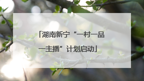 湖南新宁“一村一品一主播”计划启动