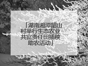 湖南湘潭韶山村举行生态农业共富责任田插秧助农活动