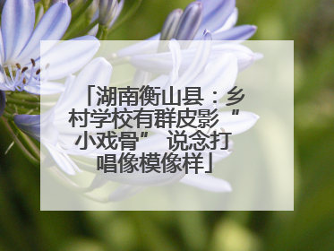 湖南衡山县：乡村学校有群皮影“小戏骨” 说念打唱像模像样