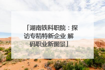 湖南铁科职院：探访专精特新企业 解码职业新图景