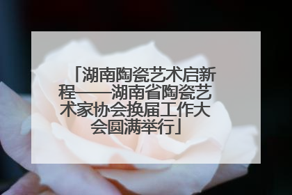 湖南陶瓷艺术启新程——湖南省陶瓷艺术家协会换届工作大会圆满举行