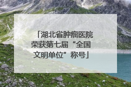 湖北省肿瘤医院荣获第七届“全国文明单位”称号