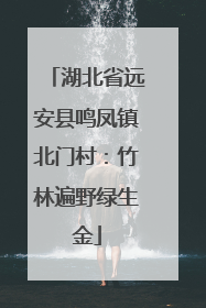 湖北省远安县鸣凤镇北门村：竹林遍野绿生金