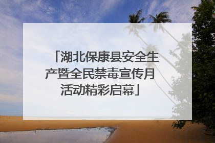 湖北保康县安全生产暨全民禁毒宣传月活动精彩启幕