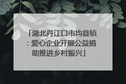 湖北丹江口市均县镇：爱心企业开展公益捐助推进乡村振兴