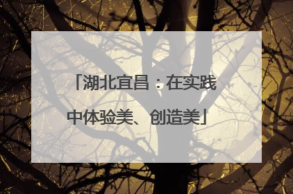 湖北宜昌：在实践中体验美、创造美