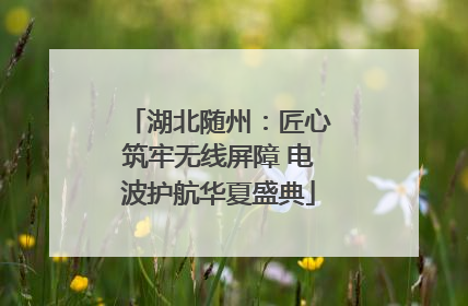 湖北随州：匠心筑牢无线屏障 电波护航华夏盛典