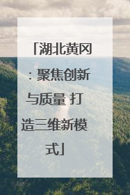 湖北黄冈：聚焦创新与质量 打造三维新模式