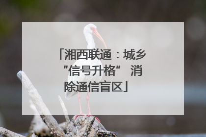 湘西联通：城乡“信号升格” 消除通信盲区