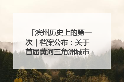 滨州历史上的第一次｜档案公布：关于首届黄河三角洲城市经济博览会暨发展论坛情况的总结报告