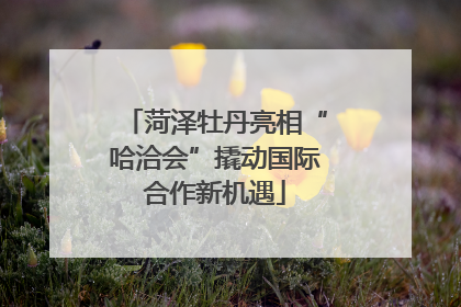 菏泽牡丹亮相“哈洽会”撬动国际合作新机遇