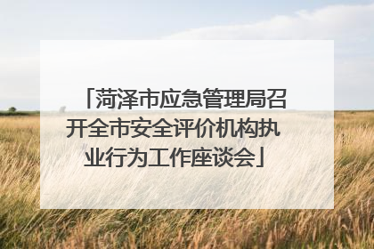 菏泽市应急管理局召开全市安全评价机构执业行为工作座谈会