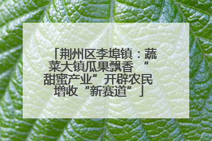 荆州区李埠镇：蔬菜大镇瓜果飘香 “甜蜜产业”开辟农民增收“新赛道”
