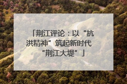 荆江评论：以“抗洪精神”筑起新时代“荆江大堤”