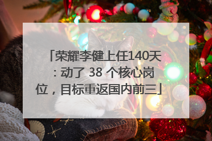 荣耀李健上任140天：动了 38 个核心岗位，目标重返国内前三
