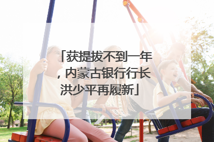 获提拔不到一年，内蒙古银行行长洪少平再履新