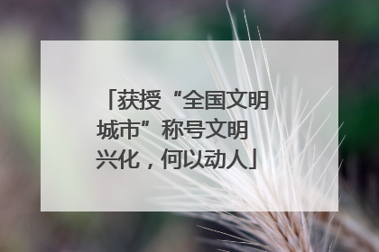 获授“全国文明城市”称号文明 兴化，何以动人