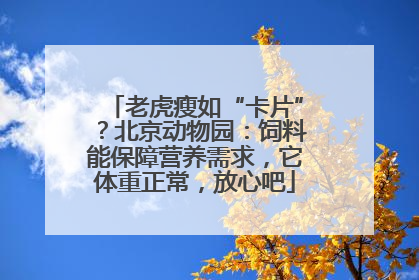 老虎瘦如“卡片”？北京动物园：饲料能保障营养需求，它体重正常，放心吧